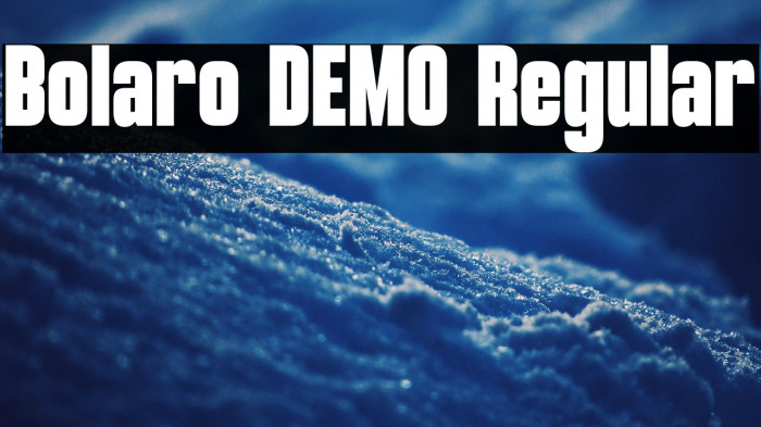 Bolaro DEMO Regular Example 3