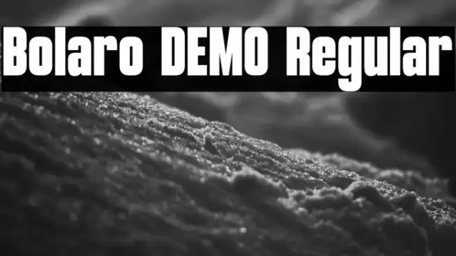 Bolaro DEMO Regular Caratteri examples