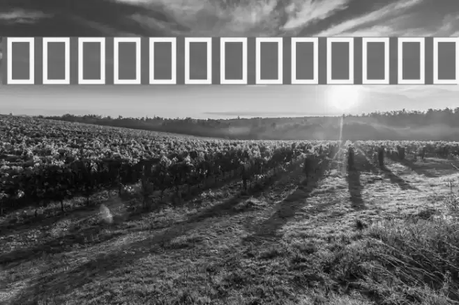 Bolbol II Font examples