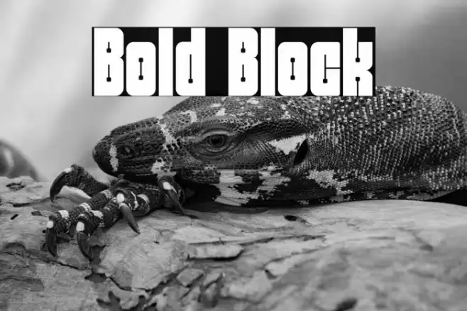 Bold Block फ़ॉन्ट examples