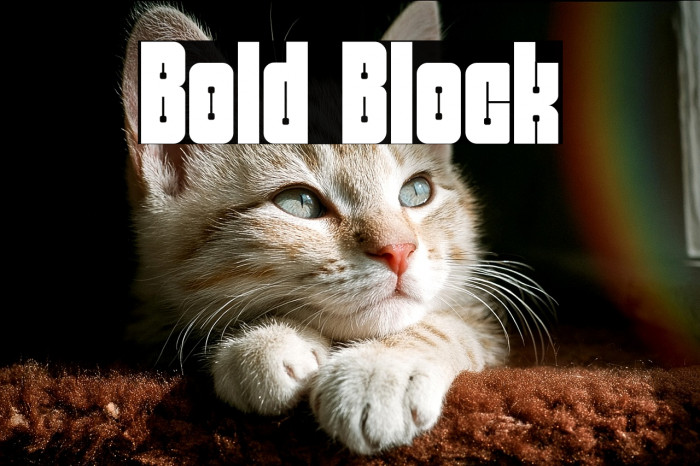 Bold Block Example 2