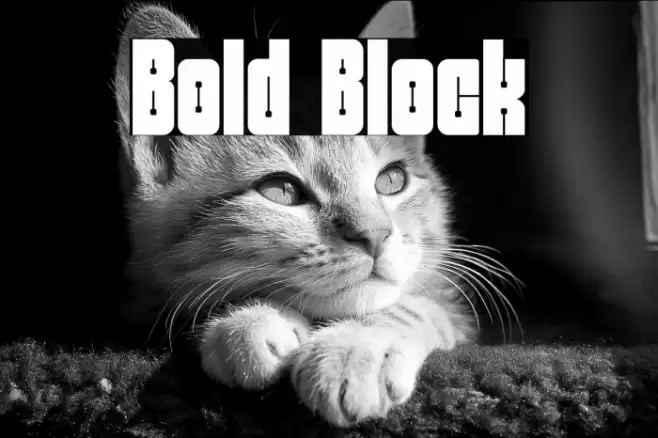 Bold Block फ़ॉन्ट examples