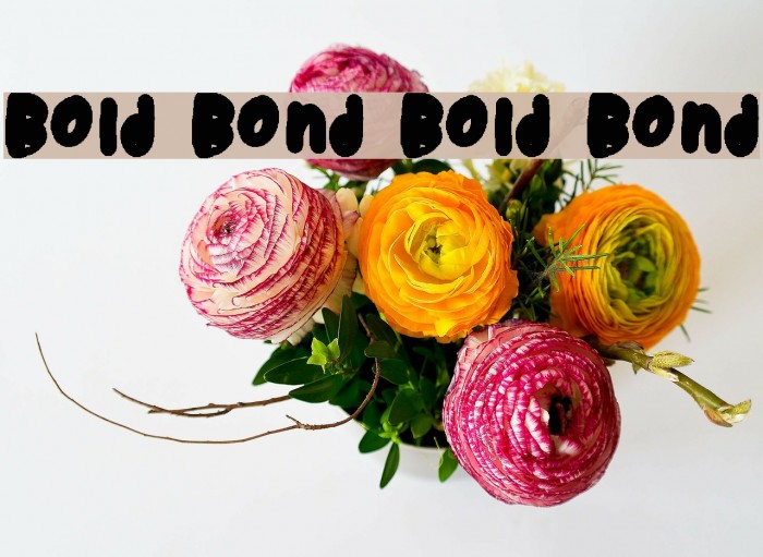 Bold Bond Bold Bond Font examples