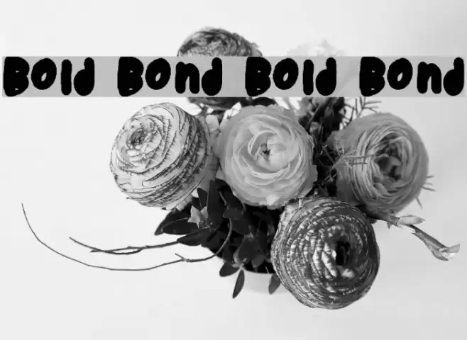 Bold Bond Bold Bond Font examples
