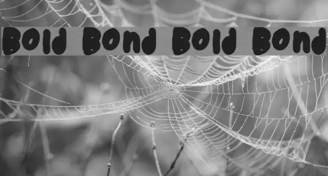 Bold Bond Bold Bond Font examples
