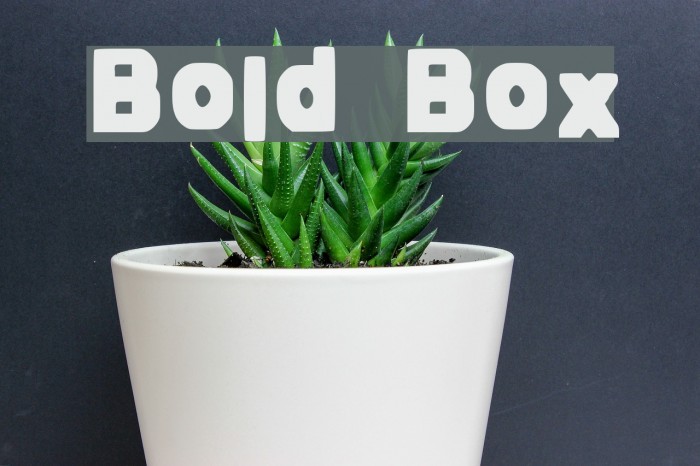 Bold Box Font examples