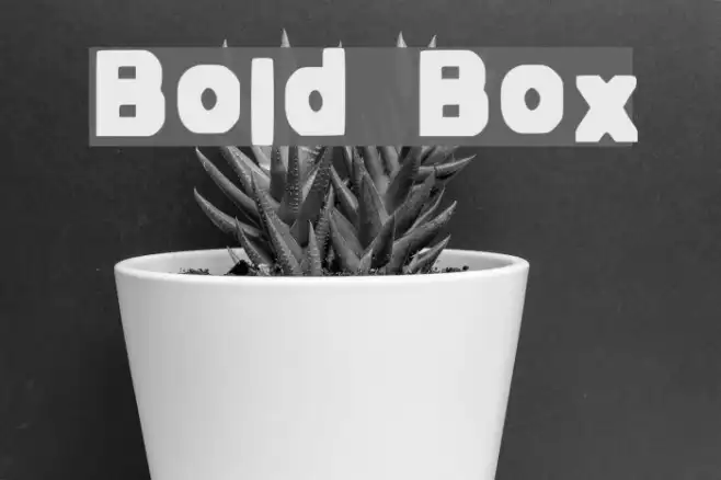 Bold Box Example 1