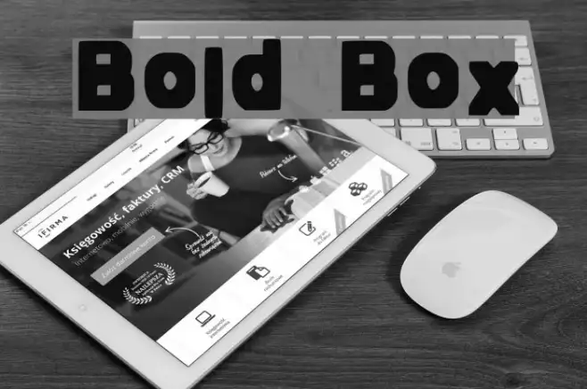 Bold Box Example 2
