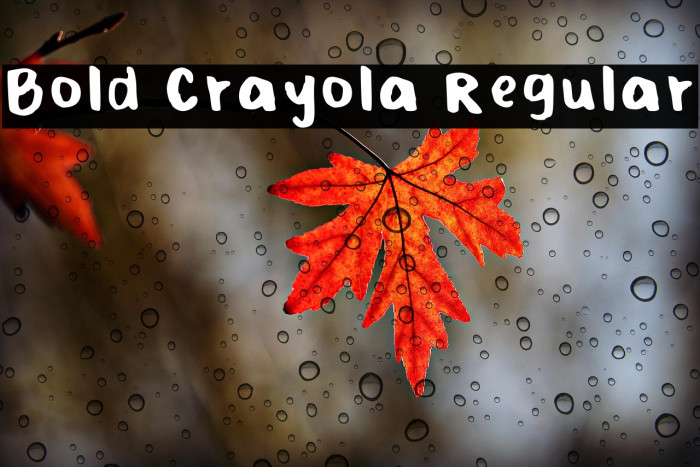 Bold Crayola Regular Example 3