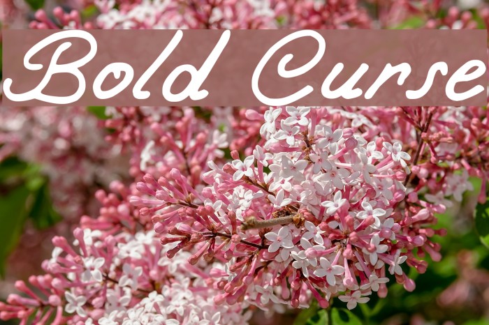 Bold Curse Font examples