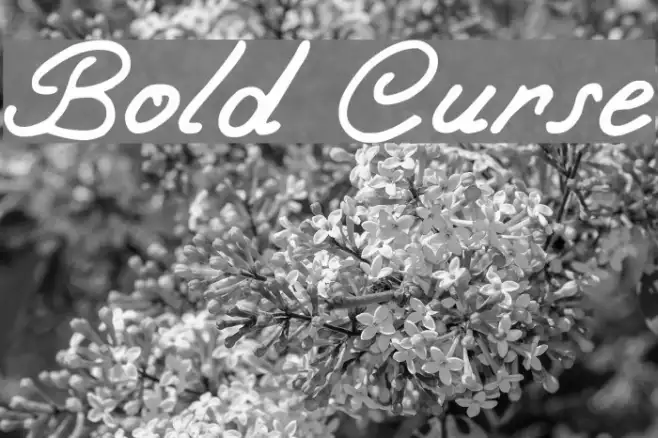 Bold Curse Example 2