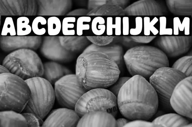 Bold Days Font examples