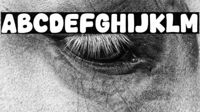 Bold Days Font examples