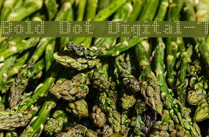 Bold Dot Digital-7 Example 2