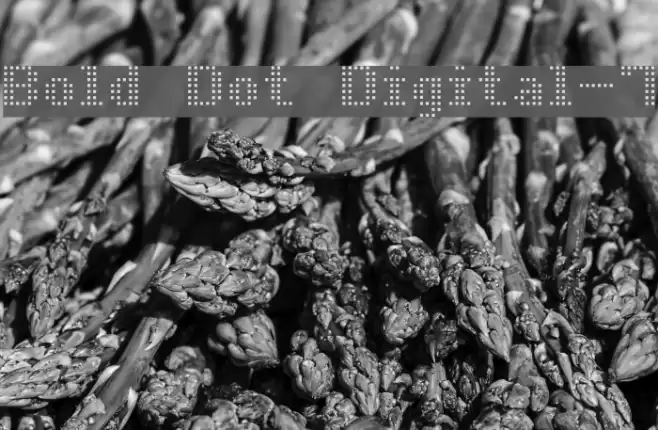 Bold Dot Digital-7 Font examples