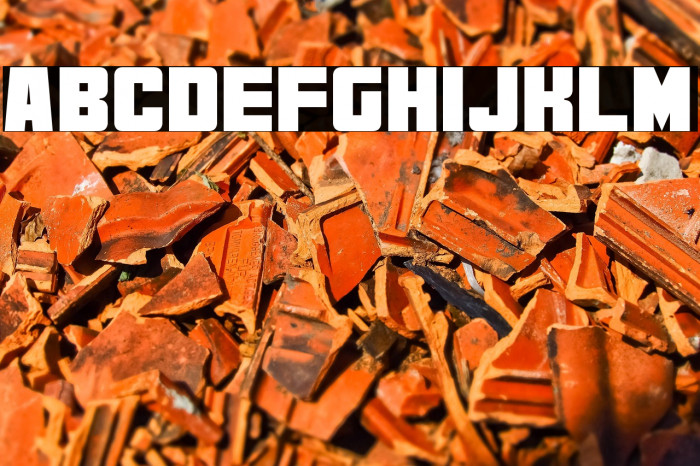 Bold Dragon Example 3