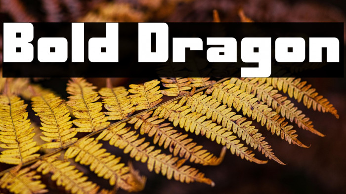 Bold Dragon Example 3