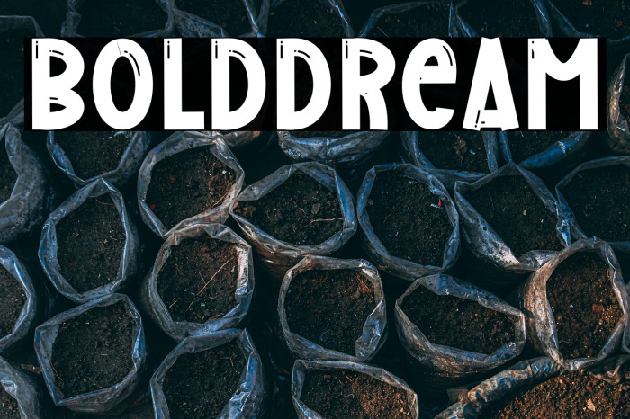 Bold Dream Example 2