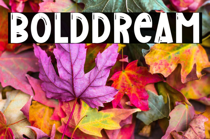 Bold Dream Example 3