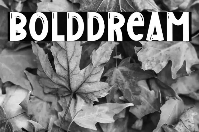 Bold Dream Example 3
