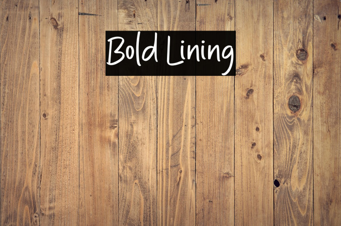Bold Lining Example 3