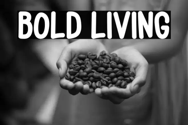 Bold Living Polices examples