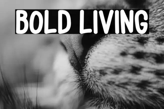 Bold Living Polices examples