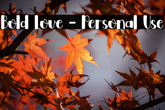 Bold Love - Personal Use Example 2