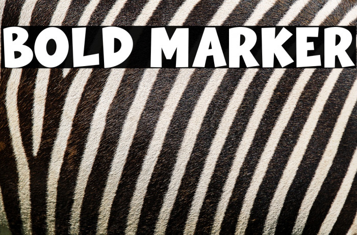 Bold Marker Example 1