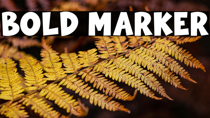 Bold Marker Example 3