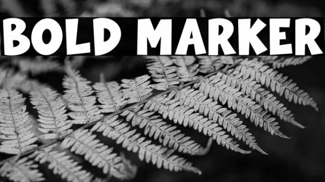 Bold Marker Font examples
