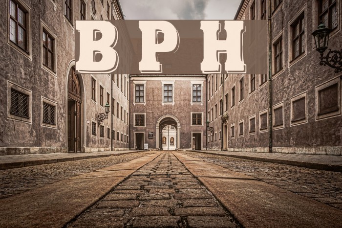 Bold Pressing H1 demo Font examples