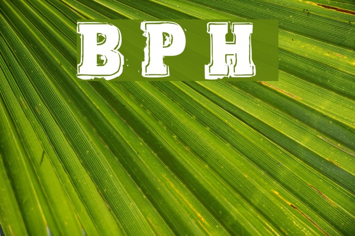 Bold Pressing H3 demo Font examples