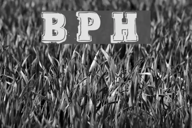 Bold Pressing H3 demo Font examples