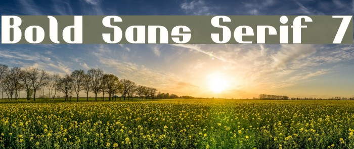 Bold Sans Serif 7 Font examples