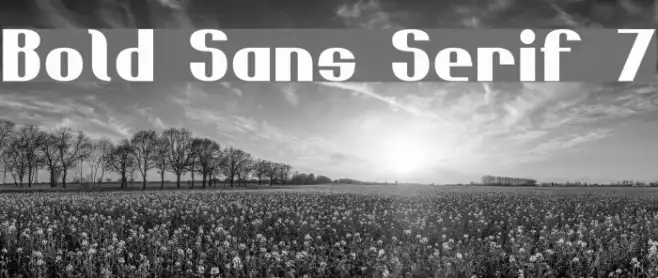 Bold Sans Serif 7 Example 1