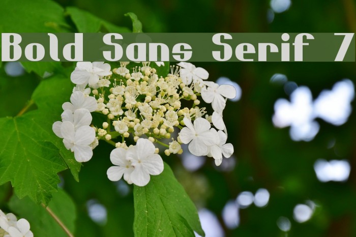 Bold Sans Serif 7 Font examples