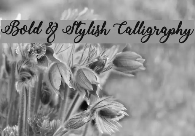 Bold & Stylish Calligraphy Example 3