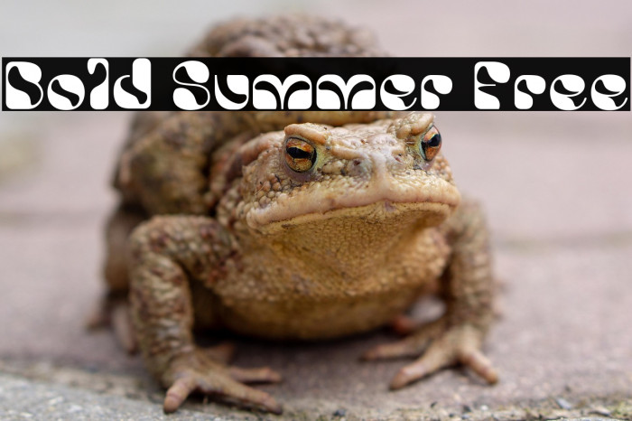 Bold Summer Free Example 1