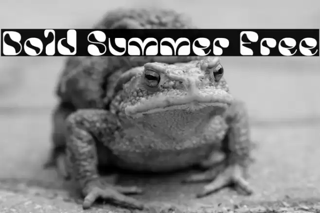 Bold Summer Free Caratteri examples