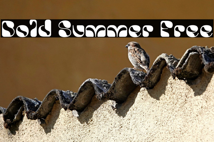 Bold Summer Free Example 2