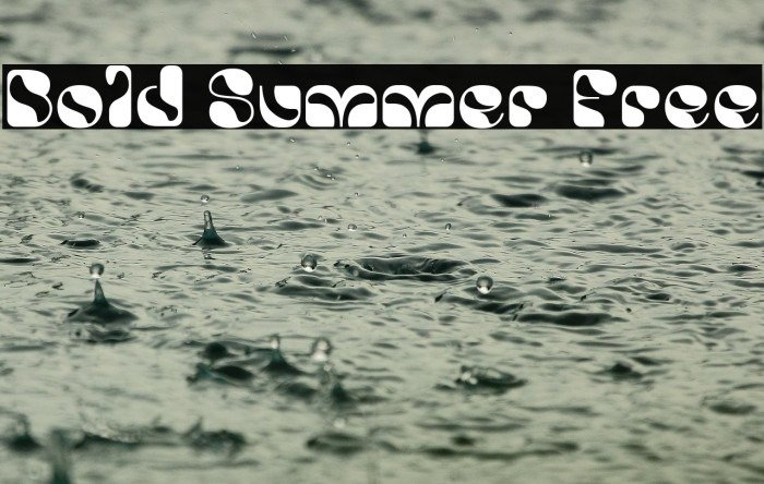 Bold Summer Free Example 3