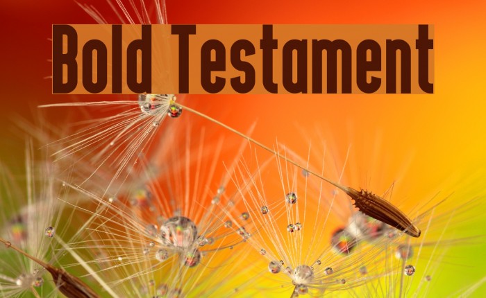 Bold Testament Font examples