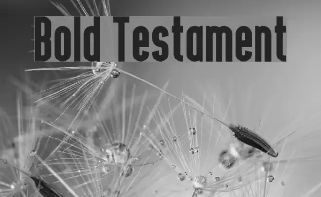 Bold Testament Fonte examples