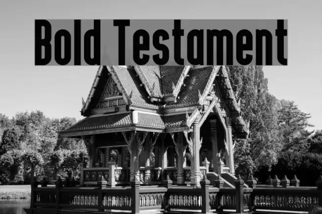 Bold Testament Fonte examples