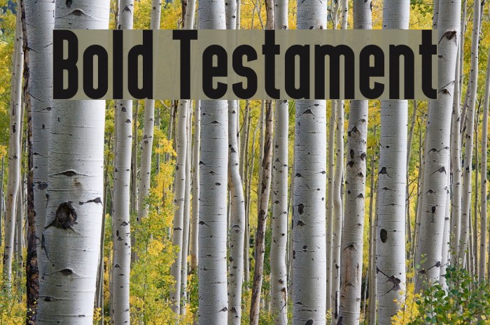 Bold Testament Font examples