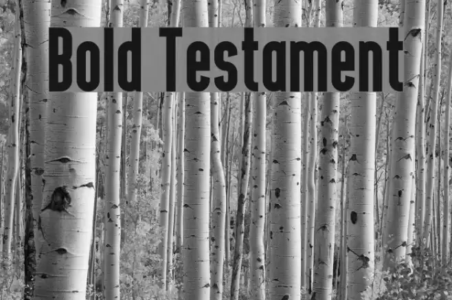 Bold Testament Fonte examples