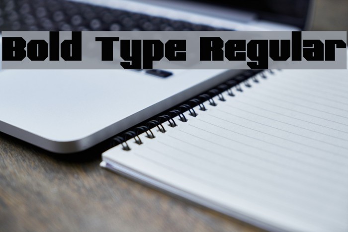 Bold Type Regular Font examples