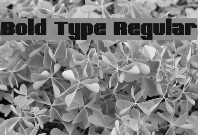 Bold Type Regular Example 2