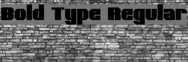 Bold Type Regular Example 3